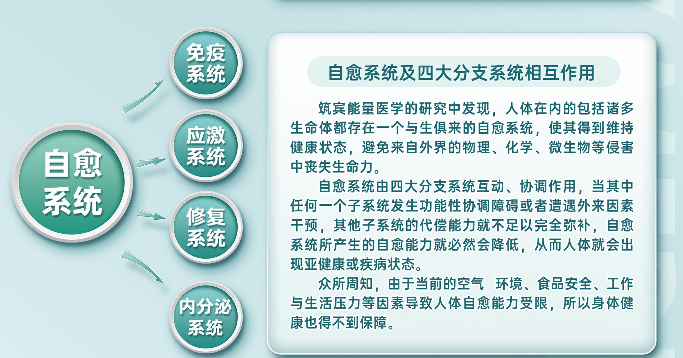 前瞻性的医学理念筑宾现代健康管理（80x200）_05.png