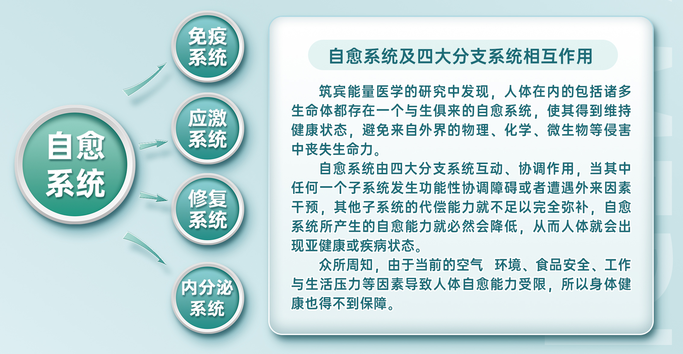 前瞻性的医学理念筑宾现代健康管理（80x200）新_05.jpg