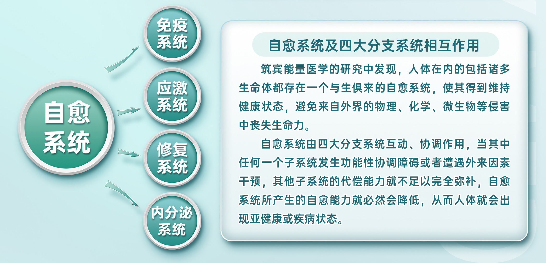 画板-2_05.jpg