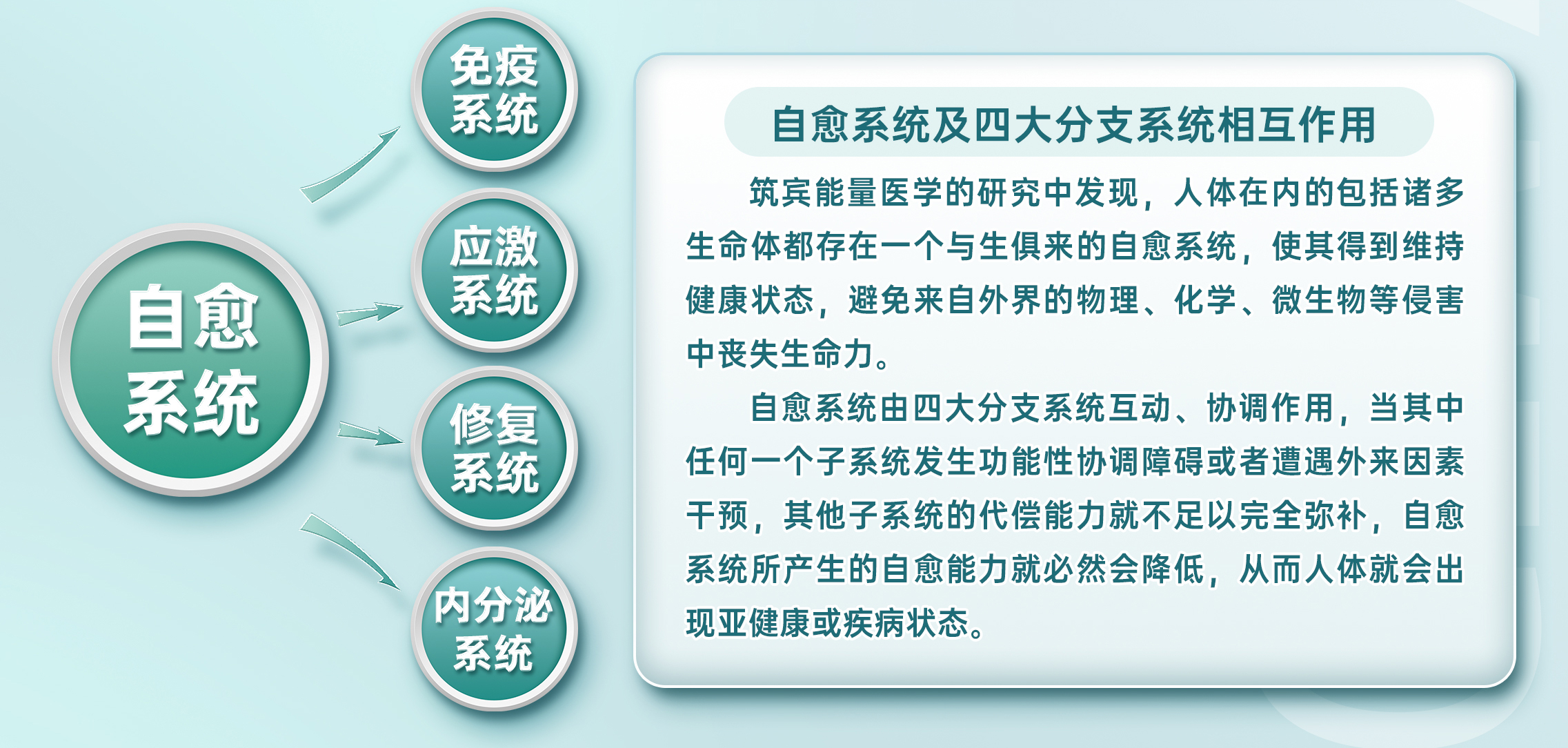 画板-2_05.jpg